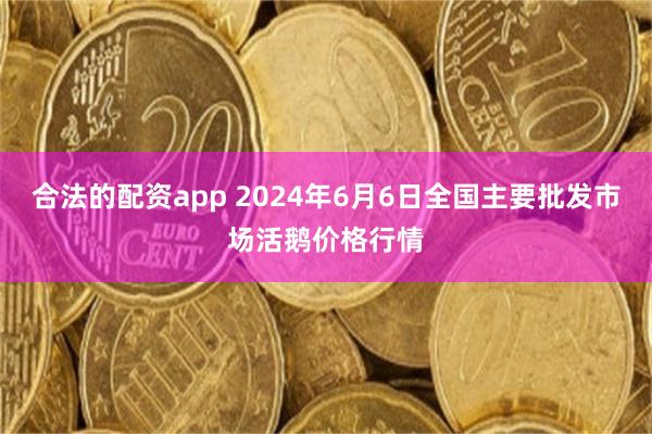 合法的配资app 2024年6月6日全国主要批发市场活鹅价格行情