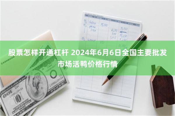 股票怎样开通杠杆 2024年6月6日全国主要批发市场活鸭价格行情