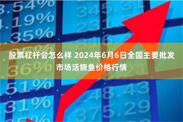 股票杠杆会怎么样 2024年6月6日全国主要批发市场活鳜鱼价格行情