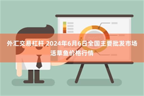 外汇交易杠杆 2024年6月6日全国主要批发市场活草鱼价格行情