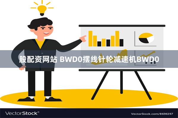 股配资网站 BWD0摆线针轮减速机BWD0