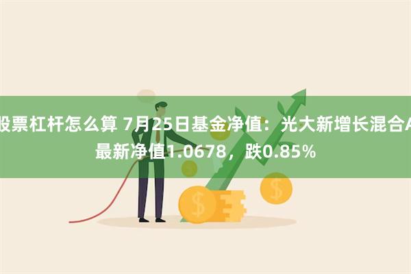 股票杠杆怎么算 7月25日基金净值：光大新增长混合A最新净值1.0678，跌0.85%