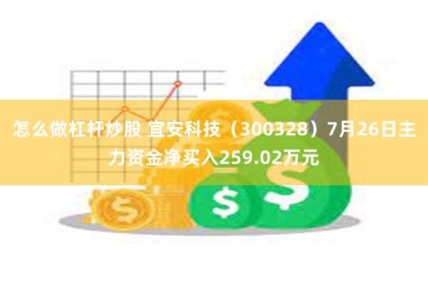 怎么做杠杆炒股 宜安科技（300328）7月26日主力资金净买入259.02万元