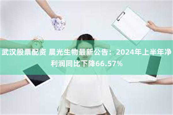 武汉股票配资 晨光生物最新公告：2024年上半年净利润同比下降66.57%