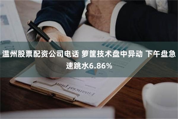 温州股票配资公司电话 箩筐技术盘中异动 下午盘急速跳水6.86%