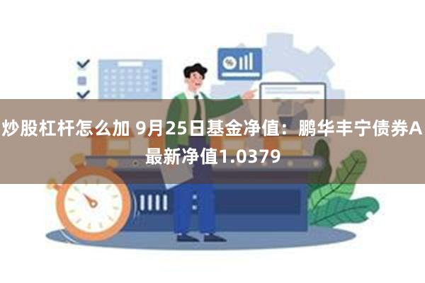 炒股杠杆怎么加 9月25日基金净值：鹏华丰宁债券A最新净值1.0379