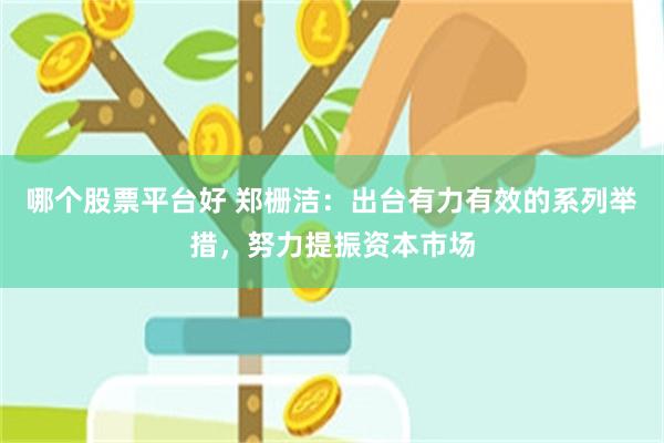 哪个股票平台好 郑栅洁：出台有力有效的系列举措，努力提振资本市场