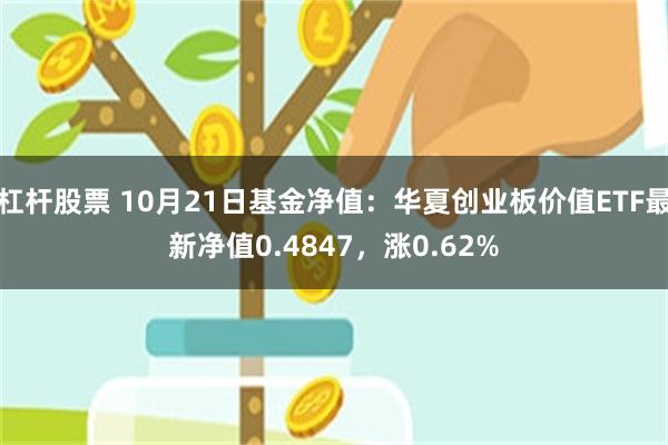 杠杆股票 10月21日基金净值：华夏创业板价值ETF最新净值0.4847，涨0.62%