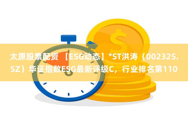 太原股票配资 【ESG动态】*ST洪涛（002325.SZ）华证指数ESG最新评级C，行业排名第110