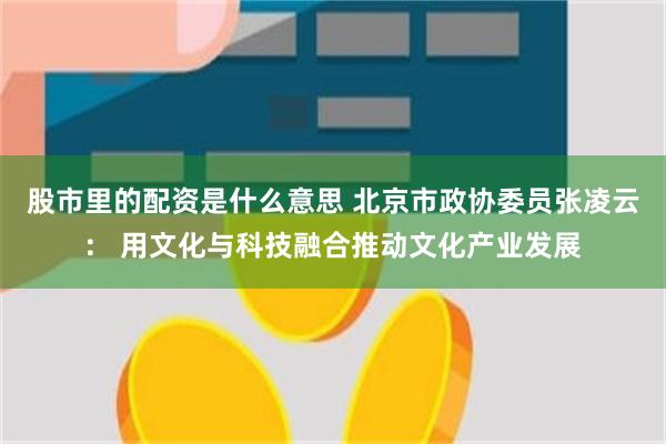 股市里的配资是什么意思 北京市政协委员张凌云： 用文化与科技融合推动文化产业发展