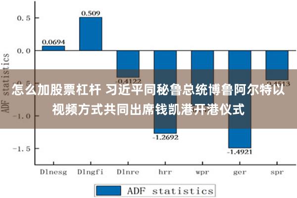 怎么加股票杠杆 习近平同秘鲁总统博鲁阿尔特以视频方式共同出席钱凯港开港仪式