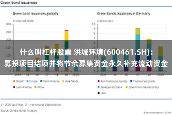 什么叫杠杆股票 洪城环境(600461.SH)：募投项目结项并将节余募集资金永久补充流动资金