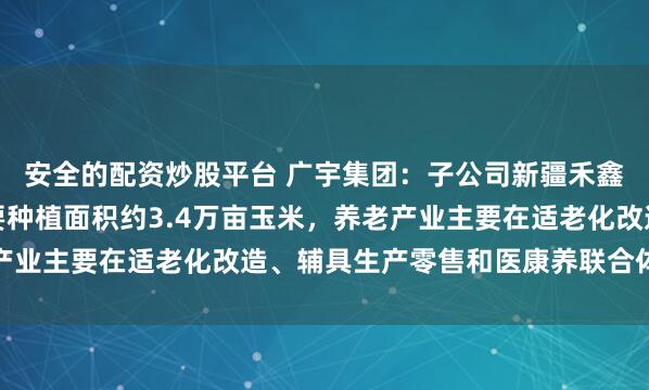 安全的配资炒股平台 广宇集团：子公司新疆禾鑫农业科技有限公司主要种植面积约3.4万亩玉米，养老产业主要在适老化改造、辅具生产零售和医康养联合体中开展