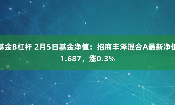 基金B杠杆 2月5日基金净值：招商丰泽混合A最新净值1.687，涨0.3%