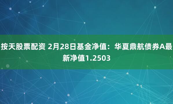 按天股票配资 2月28日基金净值：华夏鼎航债券A最新净值1.2503